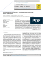 Camera - Exercise-Induced Skeletal Muscle Signaling Pathways and Human Athletic Performance