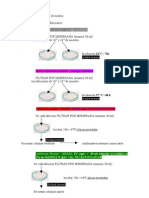 Análisis de Agua Por Membrana