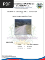 TDR-LAMBRAMA ok.docx