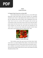 Download Tomat by Jayu Setyaningrum SN302489805 doc pdf