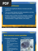 Chapter 12 Test: Patterns of Inheritance | Dominance (Genetics) | Genotype