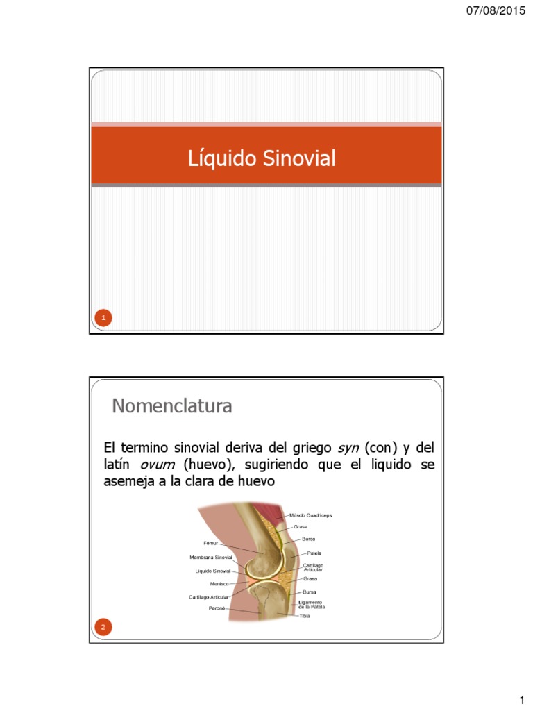 4. Líquido sinovial Inflamación Leucocito