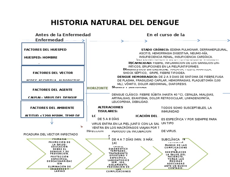 Historia Natural de La Enfermedad Del Dengue.