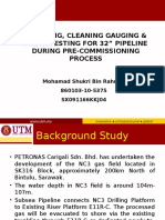 PSM 2 - Flooding, Cleaning, Gauging & Hydrotesting During Pre-Comm Process