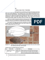 4C - 1 Ikan Hasil Tangkap 1