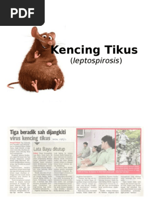 Kencinasassg Tikus Pdf