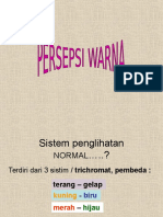 Persepsi Warna