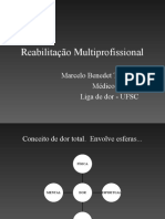 Reabilitação Multiprofissional Na Dor