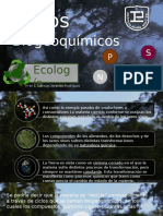 Ciclos Biogeoquímicos (Diapositivas)