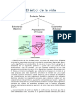 TEMA 3. El Árbol de La Vida