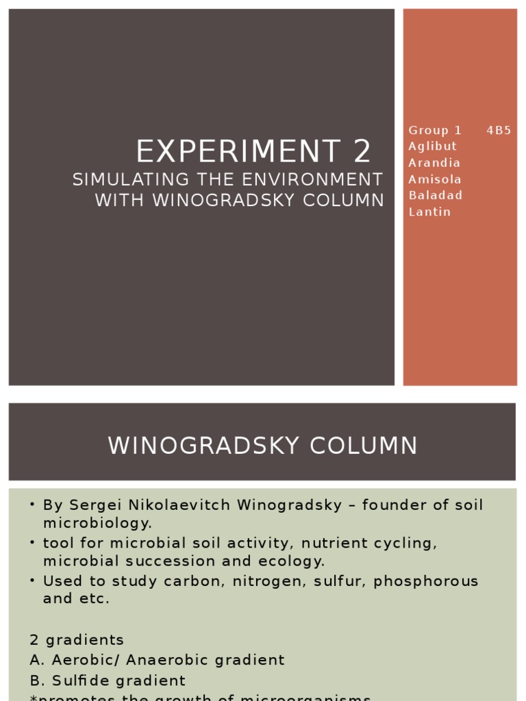 Winogradsky Column 2 Download Free PDF Bacteria Nature