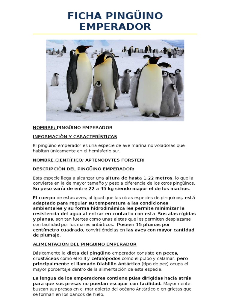 Ficha Pinguino Emperador Pingüino Aves