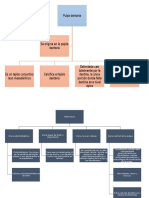 Pulpa Dentaria Mapa Conceptual