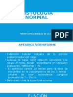 Histología Normal - Apendice-Vesicula-Trompas