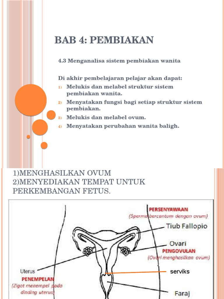 Sistem Pembiakan Wanita