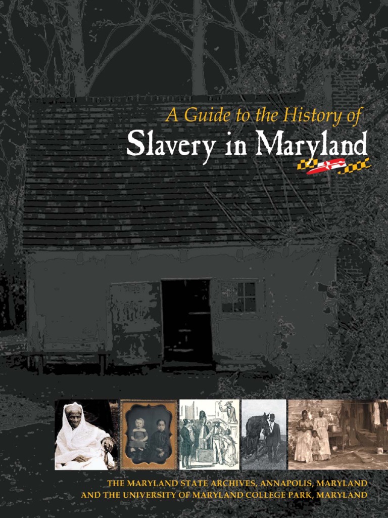 Slavery Pamphlet | PDF | Slavery In The United States | Slavery
