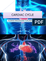 Cardiac Cycle