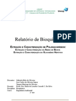 EXTRAÇÃO E CARACTERIZAÇÃO DE POLISSACARÍDEOS: Extração e Caracteização Do Amido Da Batata e Do Glicogênio Hepático