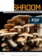 Mushroom Manifesto