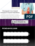 Ultrasonografi vs CT Scan untuk Diagnosa Nefrolitiasis