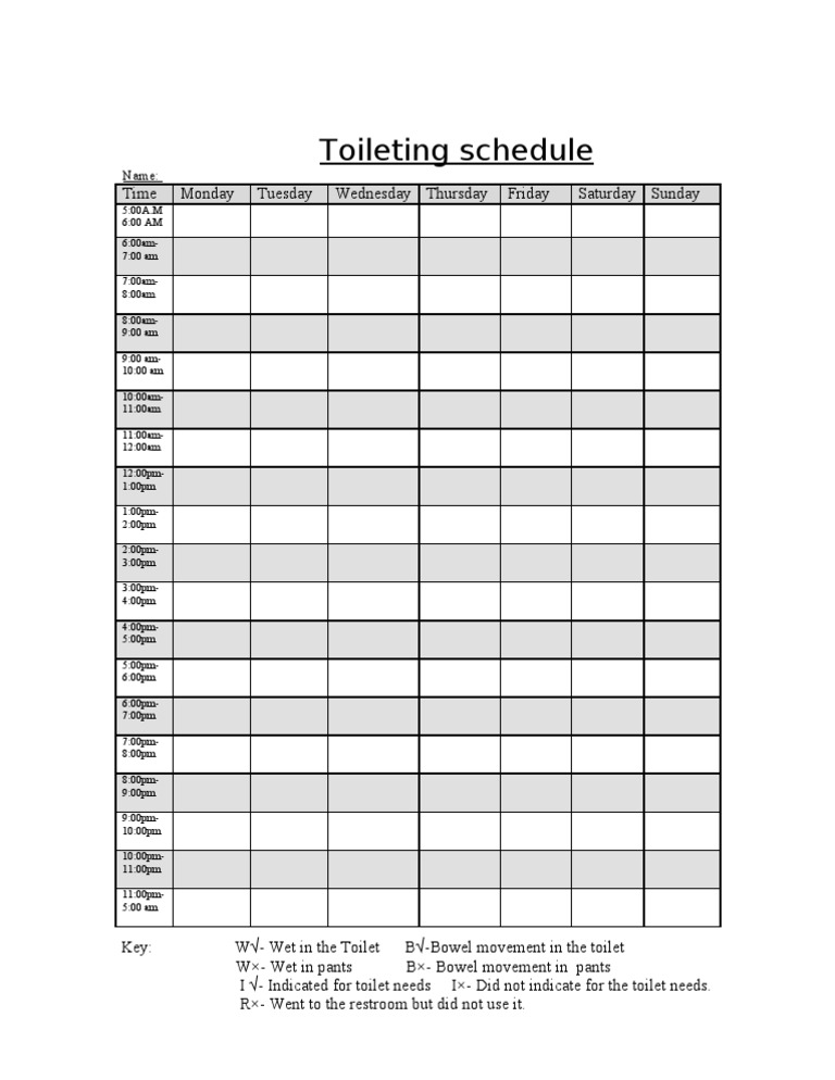 Toileting Schedule For Elderly