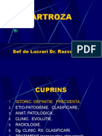 COXARTROZA