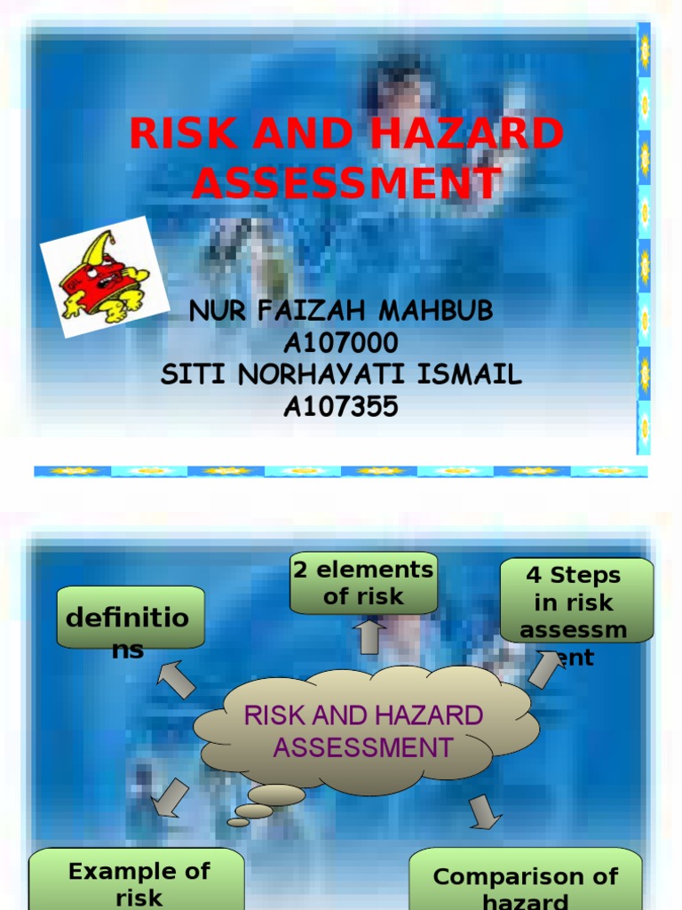 Risk and Hazard Assessment A Comprehensive Guide to the Process and Application of Risk