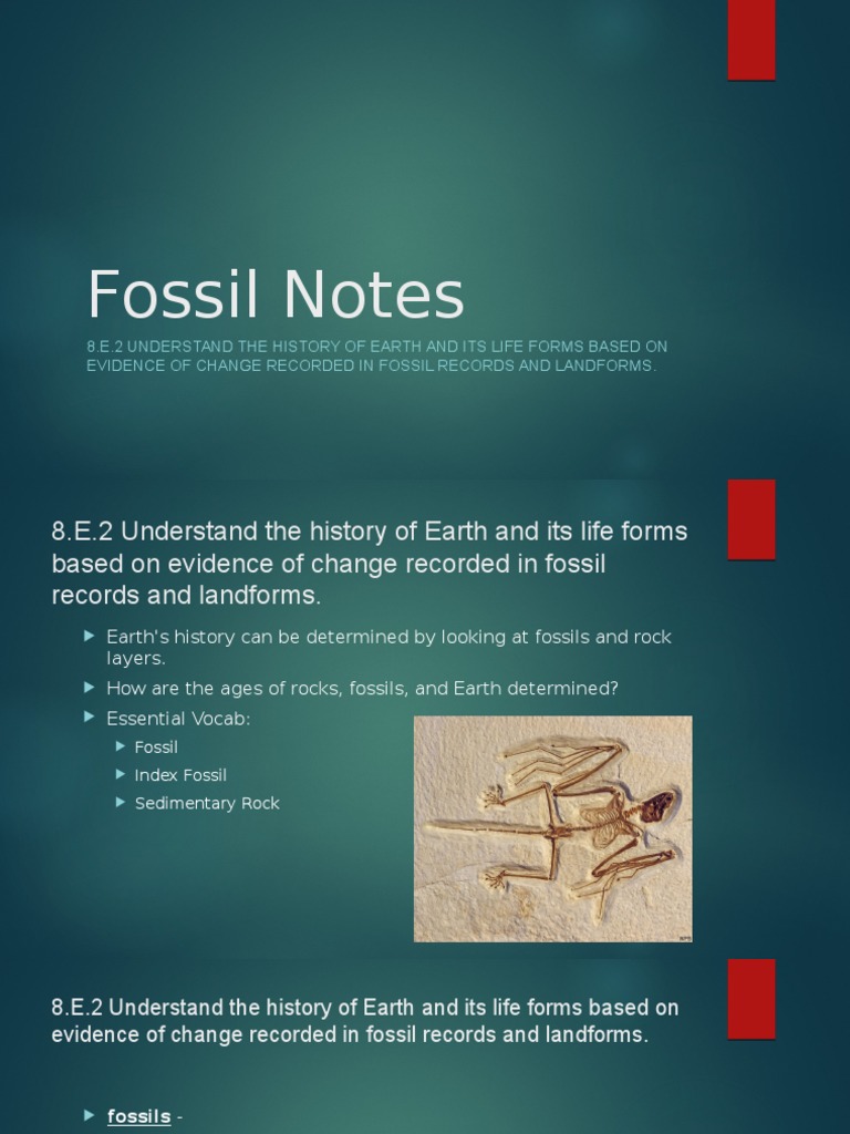 fossil notes Fossil Sedimentary Rock