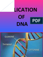 Nucleic Acid