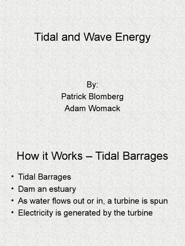 Tidal and Wave Energy Insights | PDF
