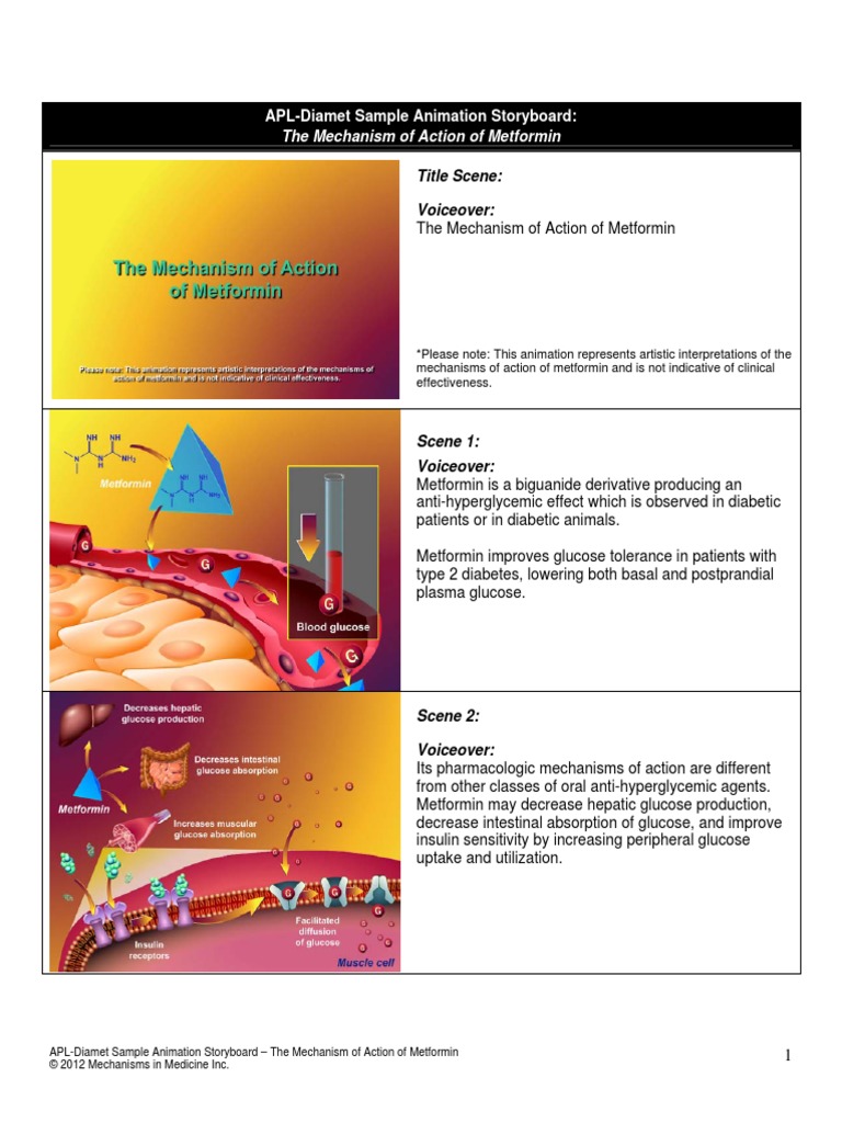 Metformin Mechanism of Action Explained | PDF | Wellness
