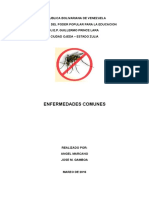 El virus zika es causado por la picadura de un mosquito.docx