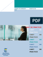 Caiet de Practica - Stiinte Economice