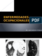 ENFERMEDADES OCUPACIONALES