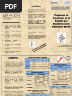 Triptico Programa de Promocion En La Funcion Por Incentivos En Educacion Basica.pdf