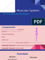 Muscular-Skeletal System