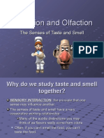 gustation and olfaction them