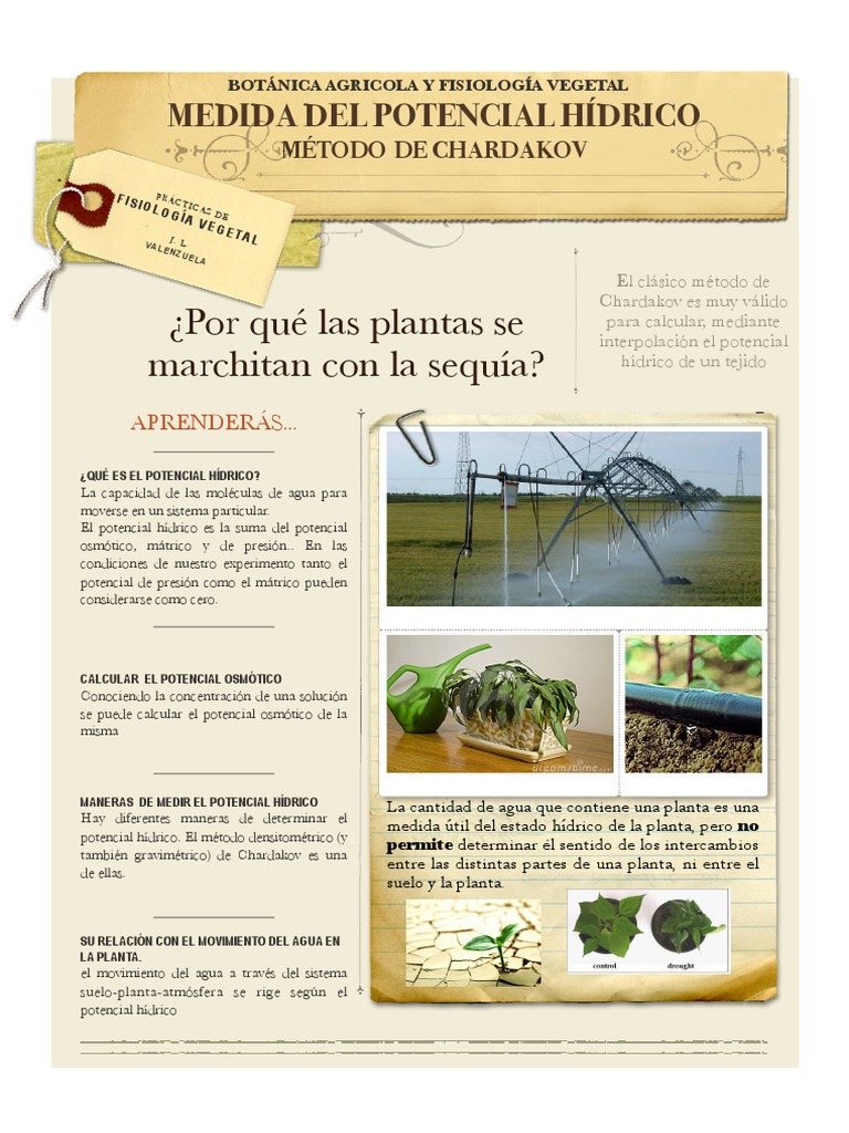 Método de Chardakov en Potencial Hídrico | PDF | Química | Física ...