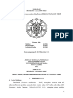 Download MAKALAH Temulawak by Chi Ka SN302986059 doc pdf