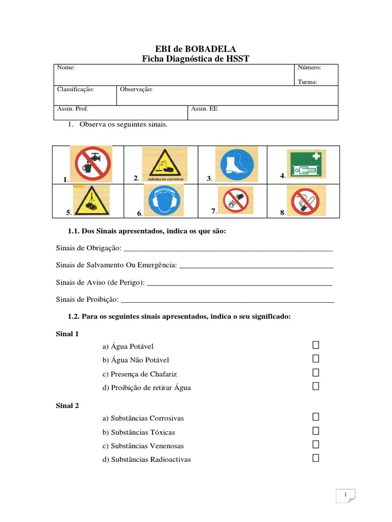 Teste Diagnóstico HST | PDF