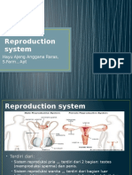 Reproduction System (STIKES)