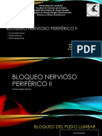 Bloqueo Nervioso Periférico II