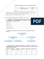 prueba de diag. ciencias 8°