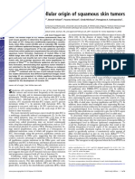 29 Identifying The Cellular Origin of Squamous Skin Tumors