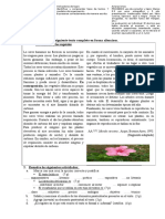 Eval - Texto Expo - Doc Tema 2