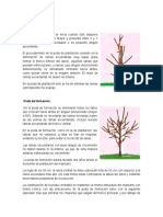 Tipos de poda del manzano: formación, plantación y mantenimiento