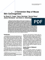 30 The Malignant Conversion Step of Mouse Skin Carcinogenesis