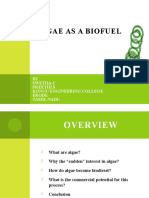 Algae As A Biofuel