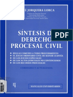 Jorquera -Síntesis de Derecho Procesal Civil