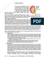 Urolithiasis (Batu Saluran Kemih) - Medicafarma